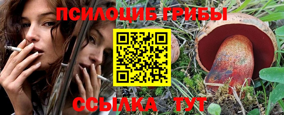 Псилоцибиновые грибы прущие грибы Волоколамск