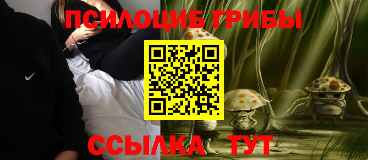 Волоколамск  Псилоцибиновые грибы MAGIC MUSHROOMS  Вход с VPN  Псилоцибиновые грибы Psilocybine cubensis 